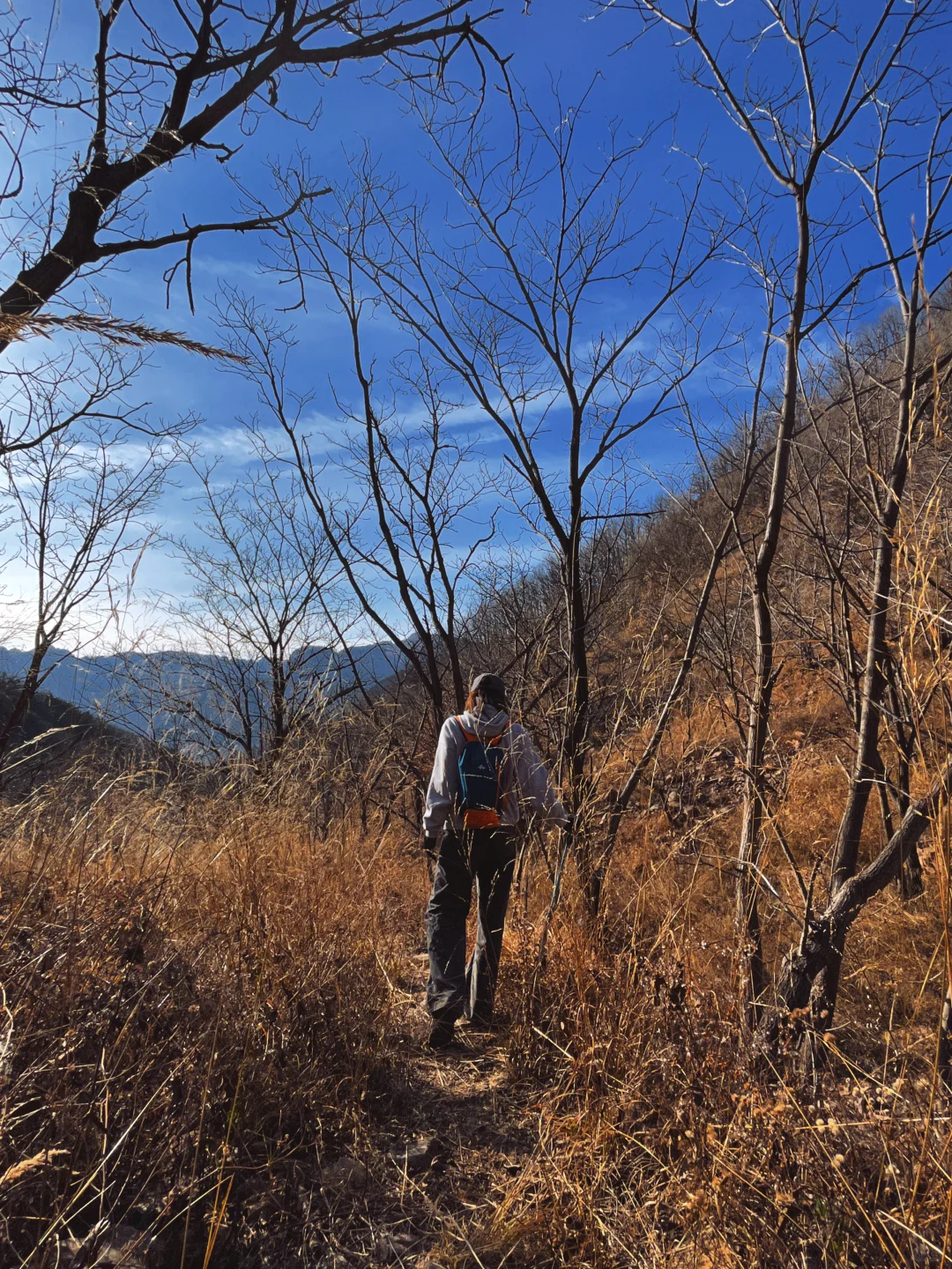 纯野无暇崴脚自负