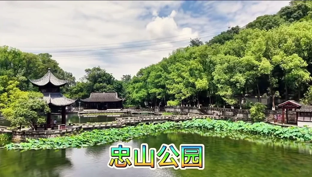 泸州宝藏景点全分享🌟