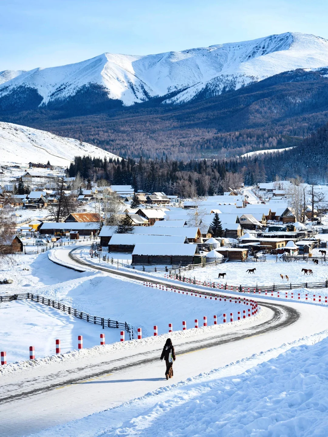 新疆冬天纯玩小团｜阿勒泰7日慢奢冰雪王国