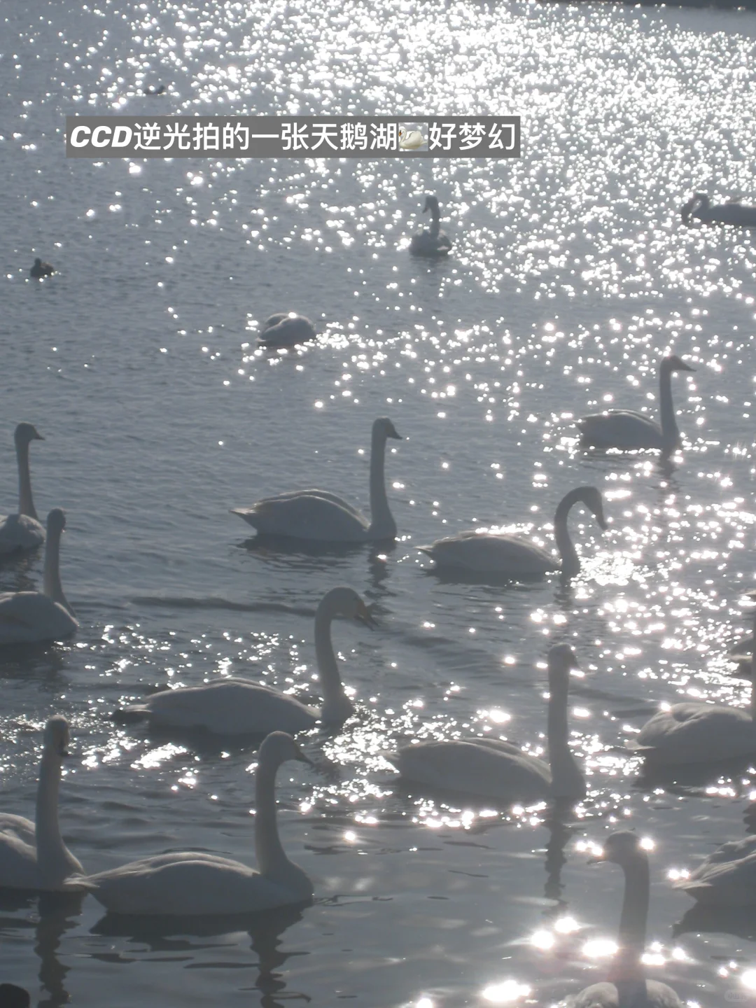 冬季威海|女大学生三天两晚人均400游玩攻略