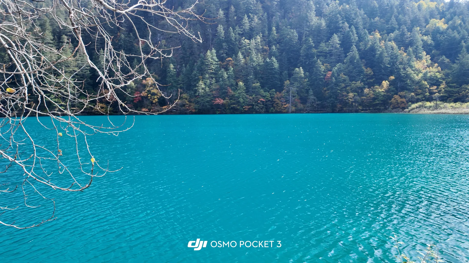 九寨沟景区其实是一个巨大的规则怪谈世界