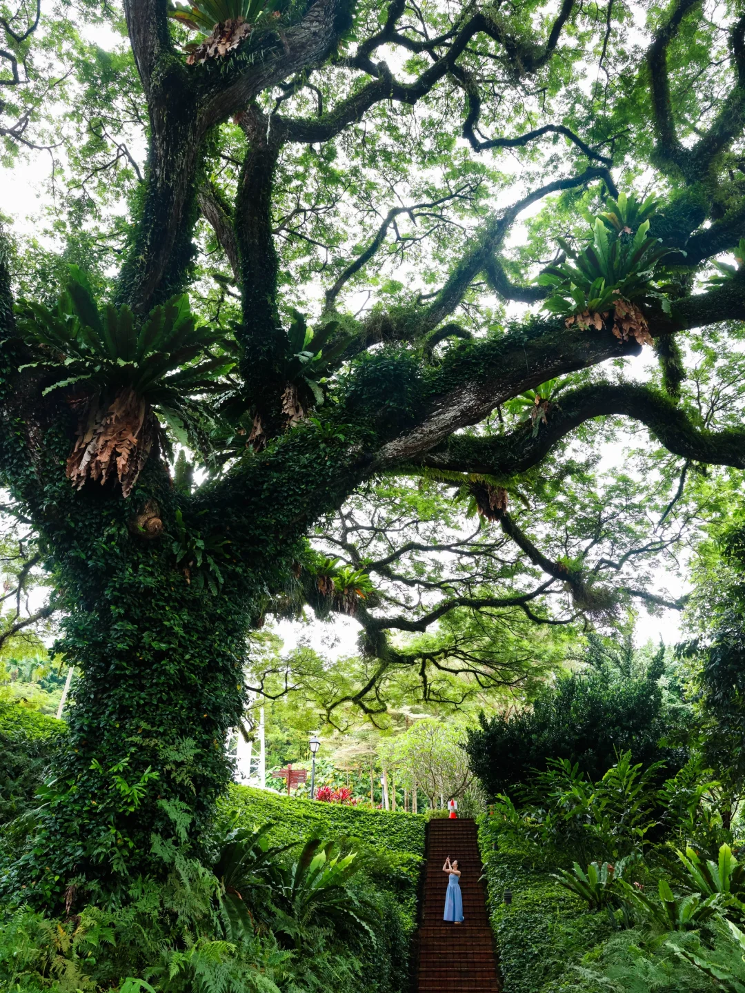 为了这18张照片,我飞了趟新加坡‼️