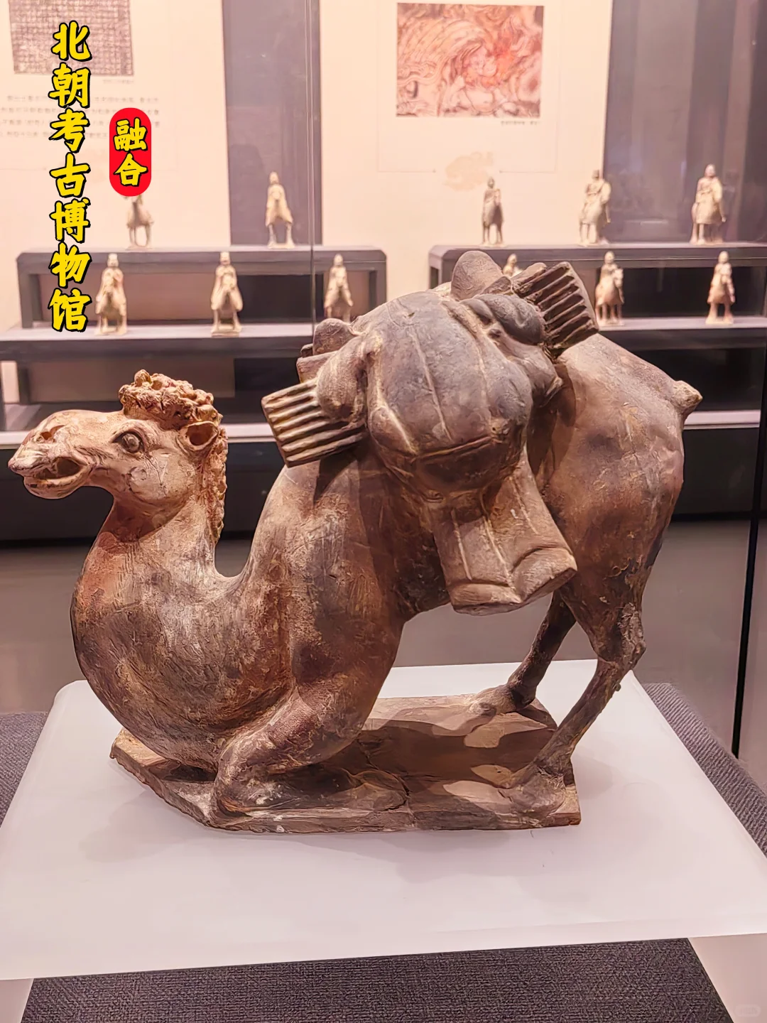 邯郸一日历史文化游