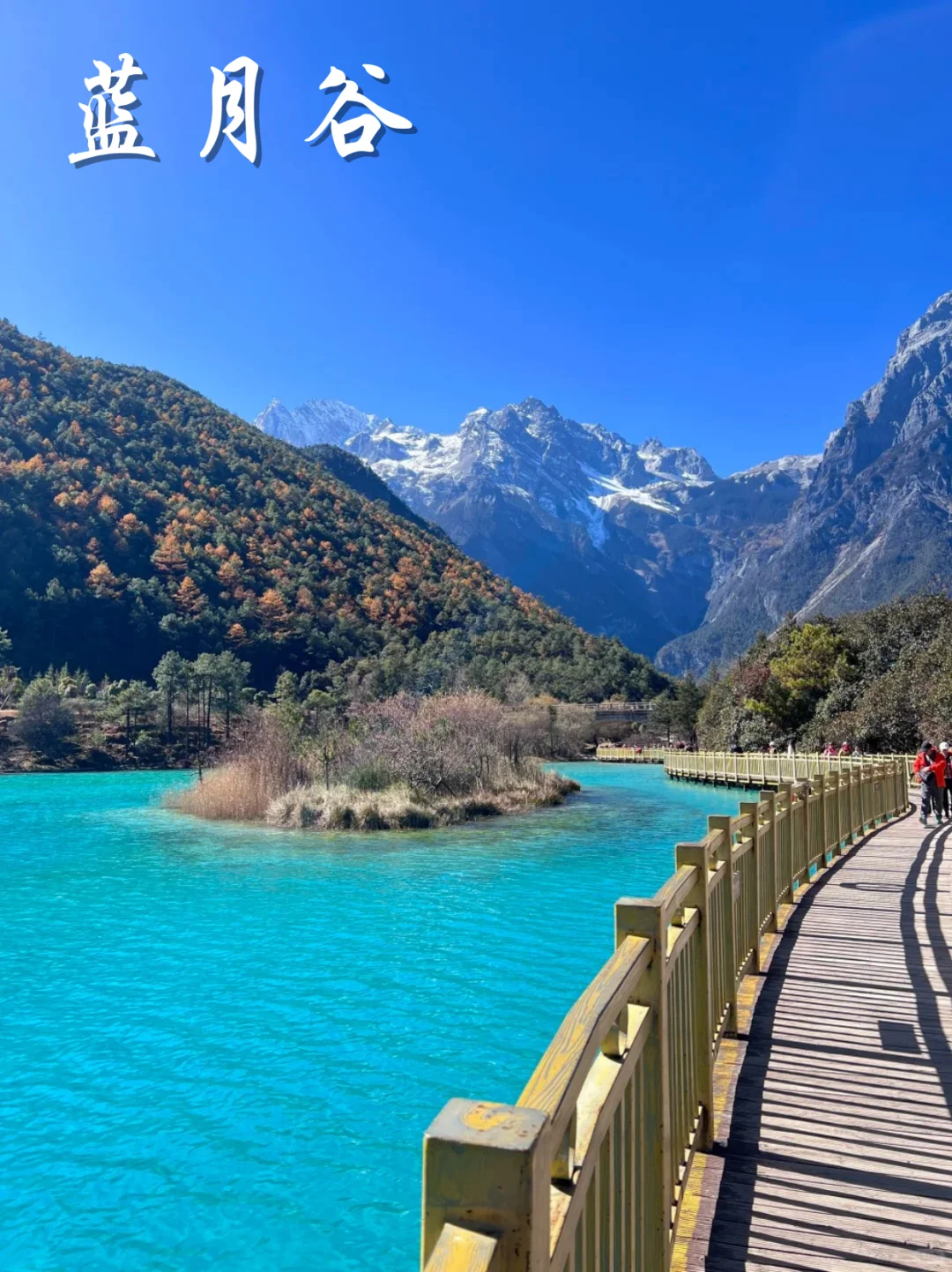 入秋啦 云南的好风光正等你解锁呢~ 🍂