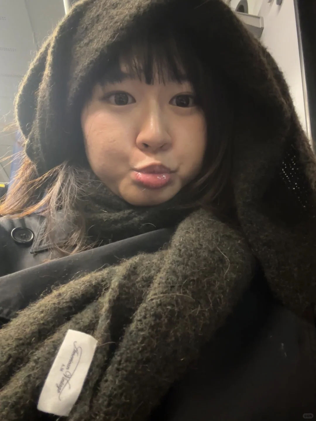 今年第一个圣诞旅行🧑‍🎄🎄