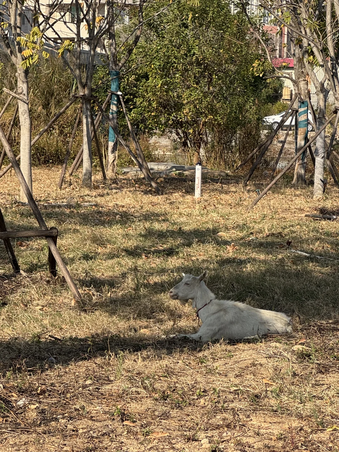 我们都向往没有天花板的地方