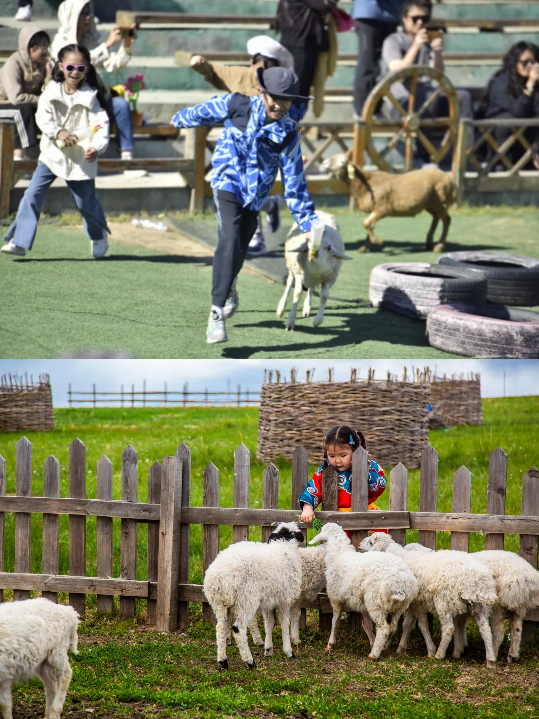 呼伦贝尔夏日躺玩攻略,绝美风光全打卡!