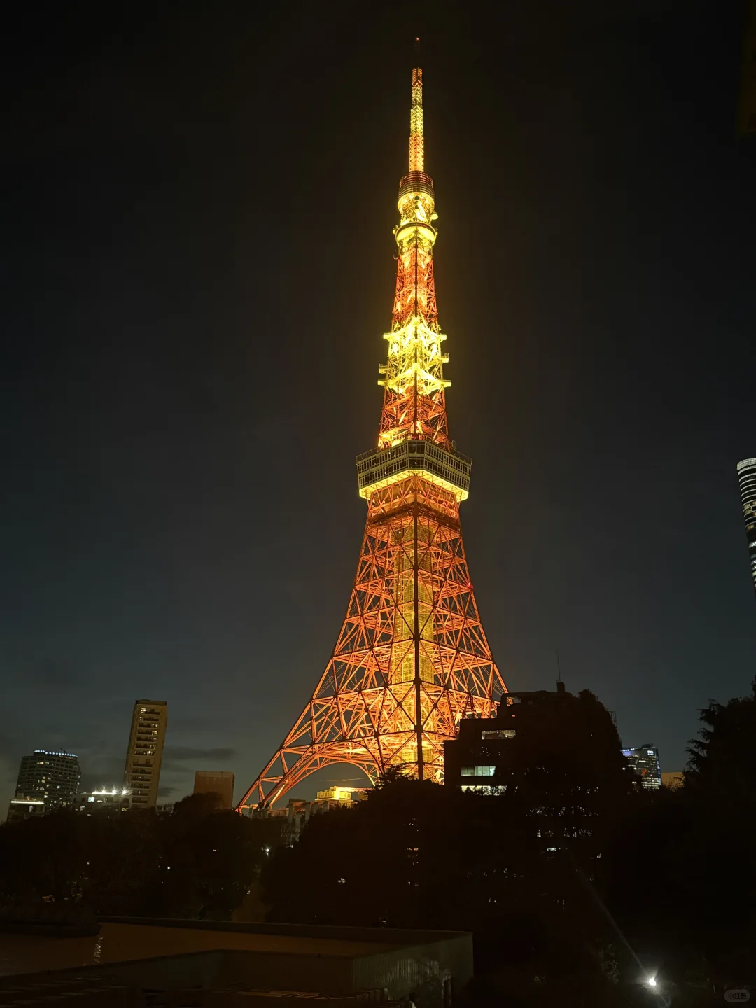 🇯🇵日本10天随性自由行小攻略