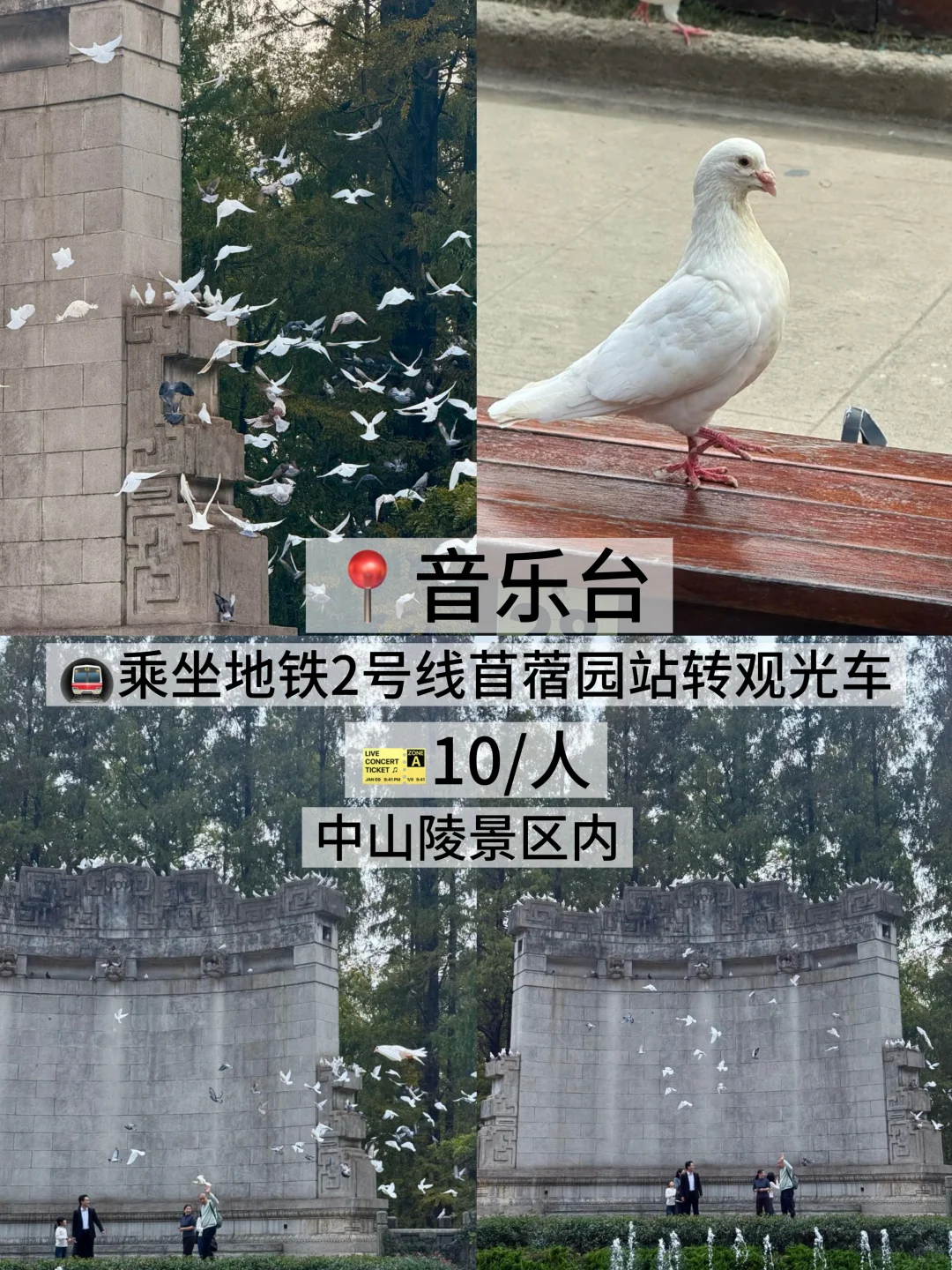 05女大学生/📍南京两天一夜旅游攻略