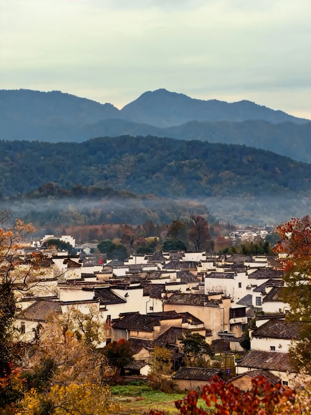 可惜你不来皖南🍂不知道卢村能有多美!!