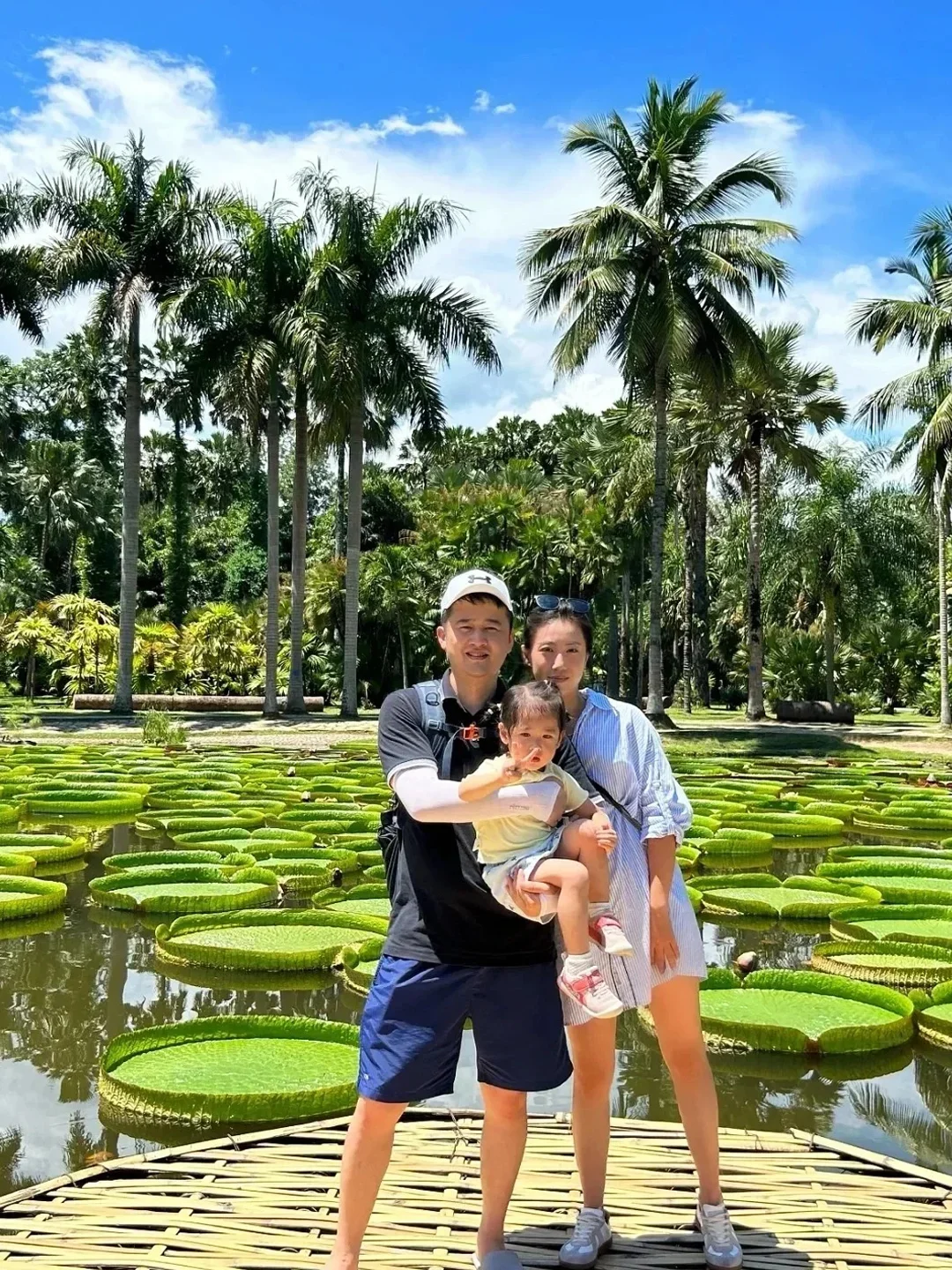 人生建议:带娃去西双版纳,一定要寒假去!