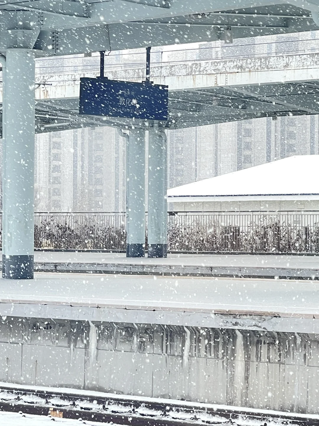 学生党穷游东北5天攻略!仅花费2k➕!