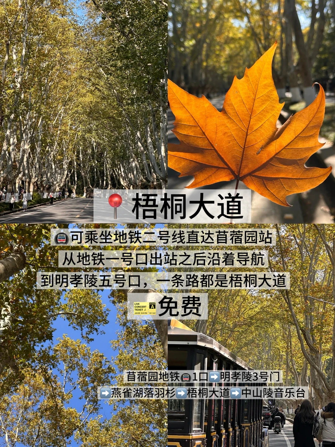 05女大学生/📍南京两天一夜旅游攻略