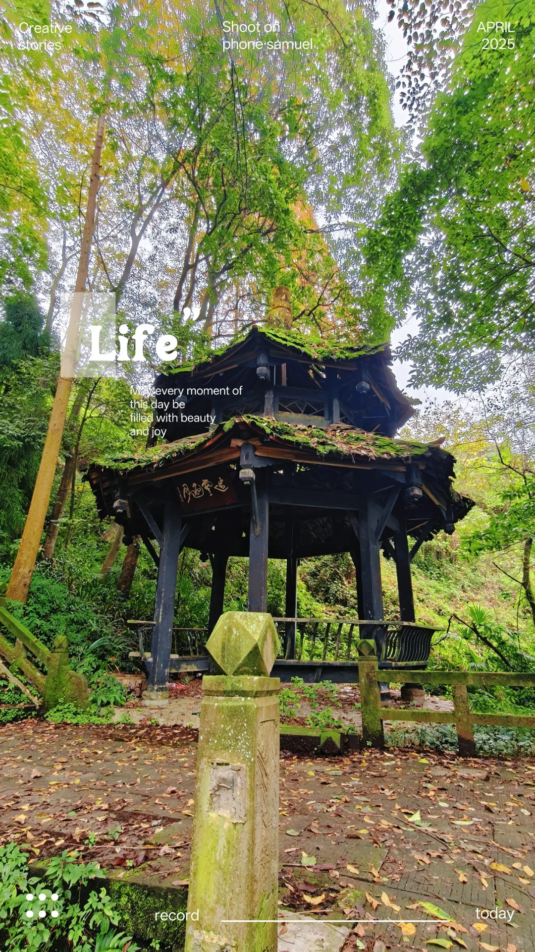 秋日古刹的静谧时光 🍁