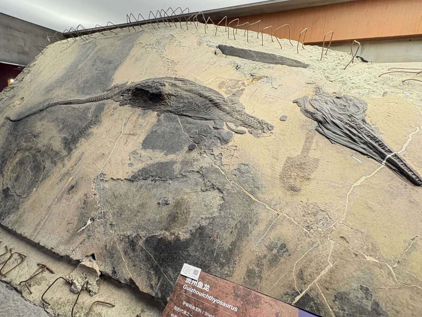 带娃贵州已回,亲测好玩的地方,下次还来😄