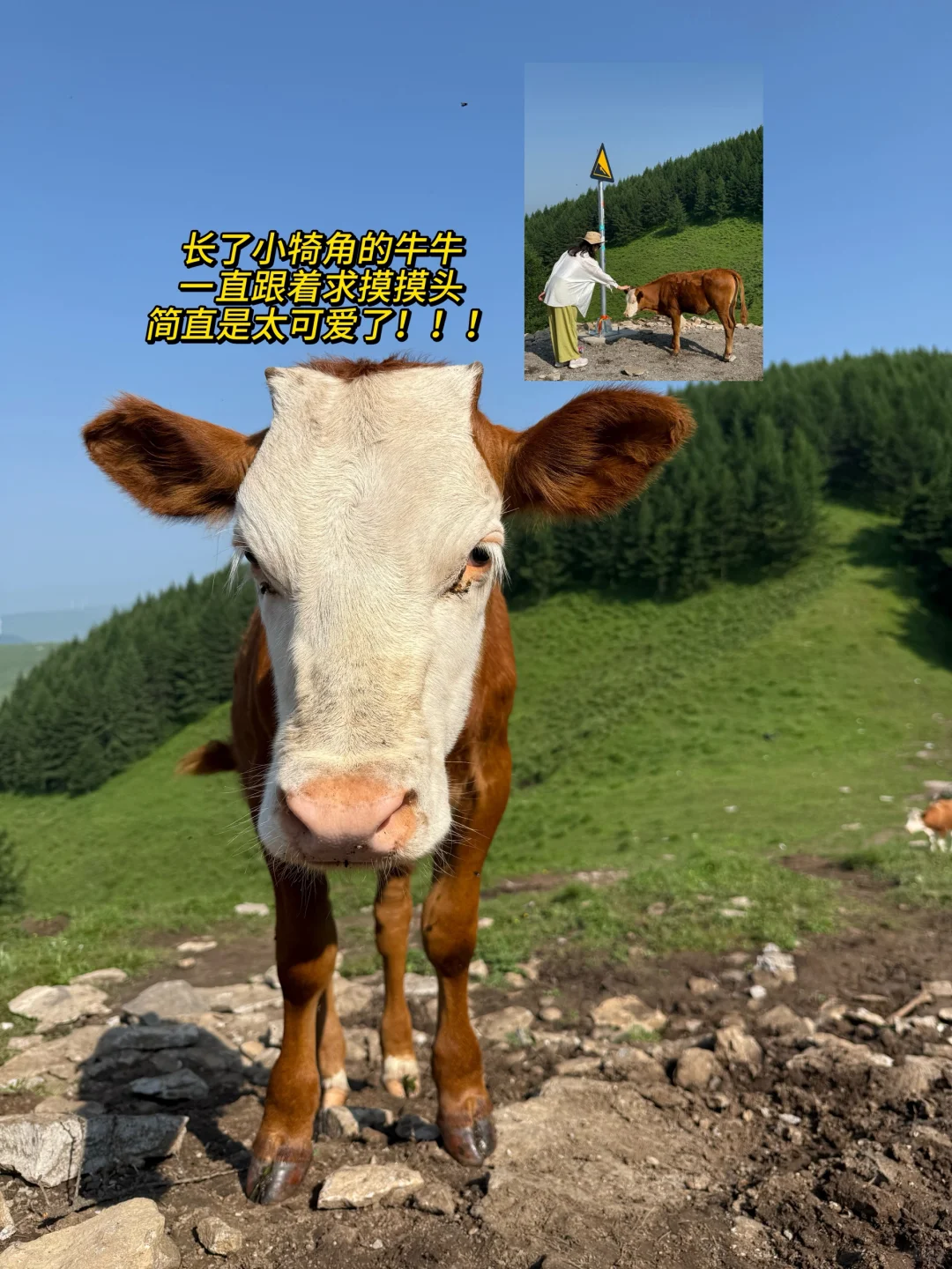 河北魏县麻田岭徒步旅游攻略（二）