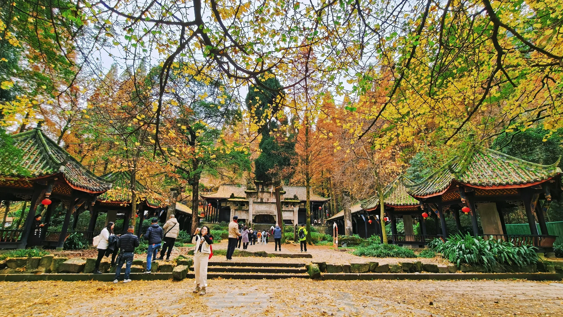 秋日古刹的静谧时光 🍁