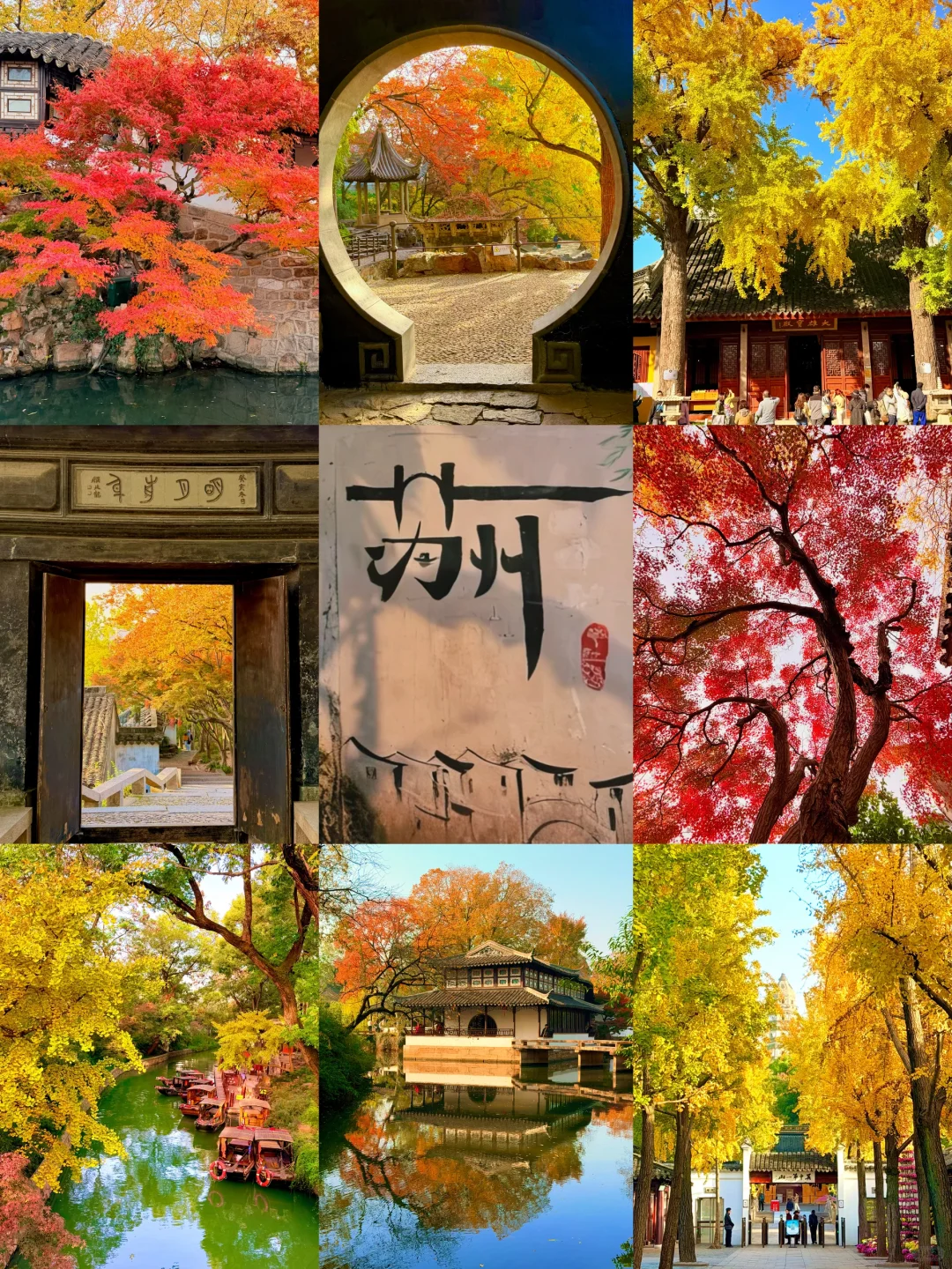 苏州12月赏秋🍂citywalk保姆级攻略(附路线)