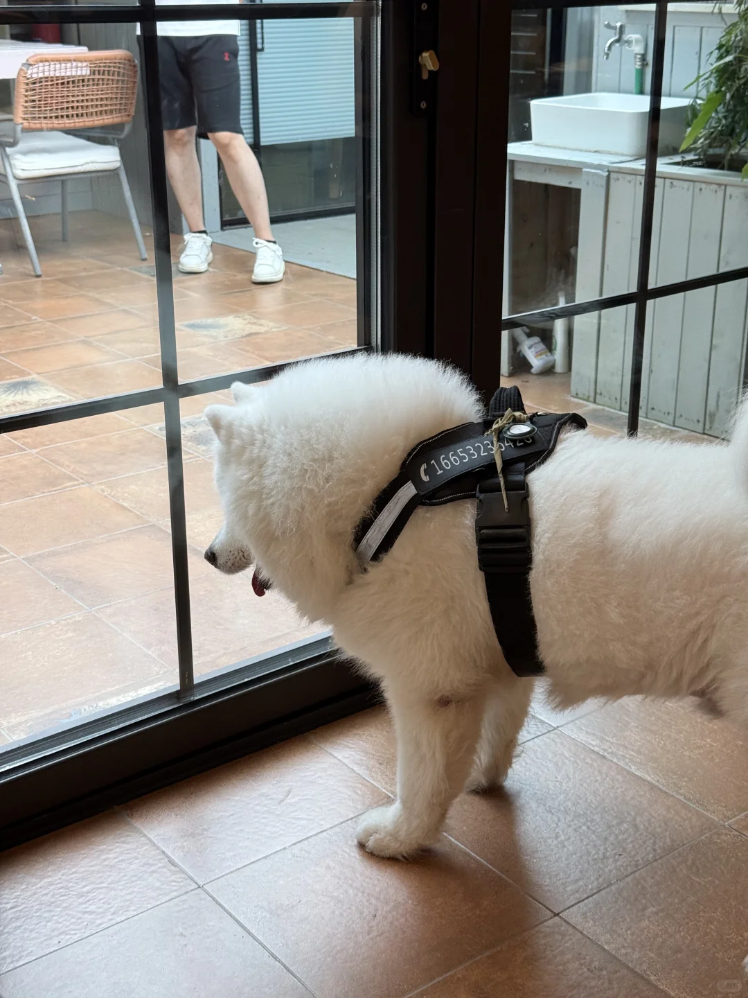 果然 旅行让人变漂亮🤩青岛真的太好出片