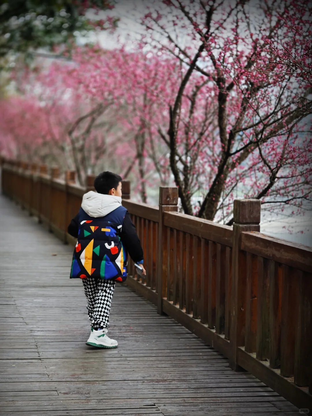 离广州最近的玩雪/滑雪攻略～神农架