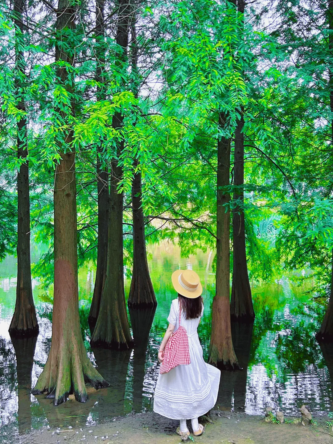 为了这18张图,我特意去了趟南京‼️