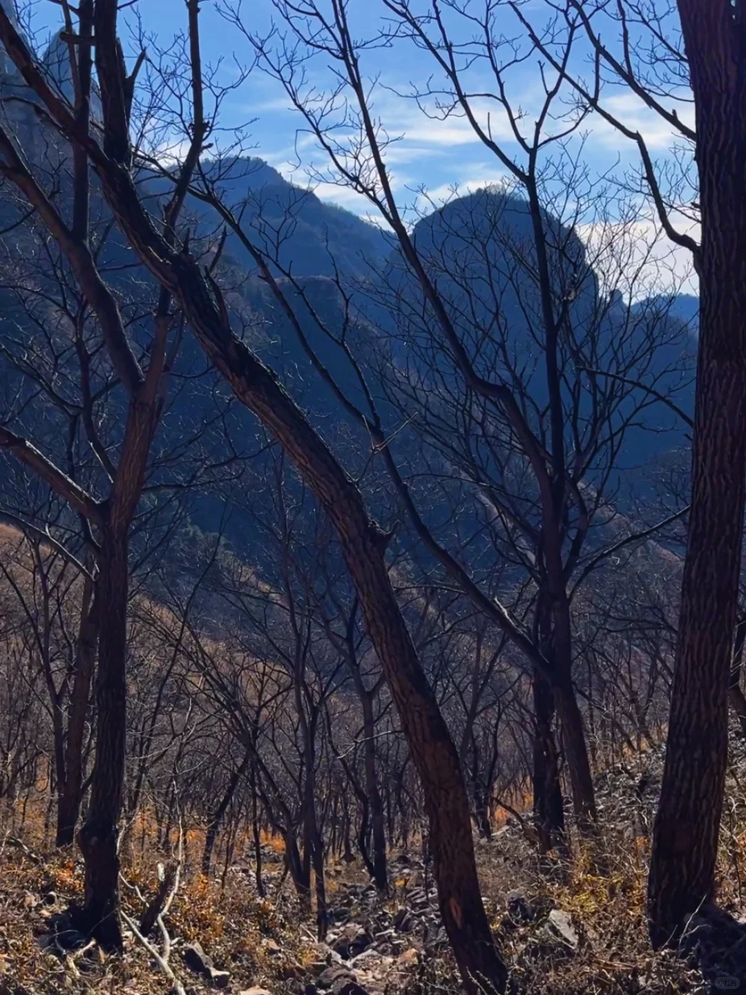 纯野无暇崴脚自负