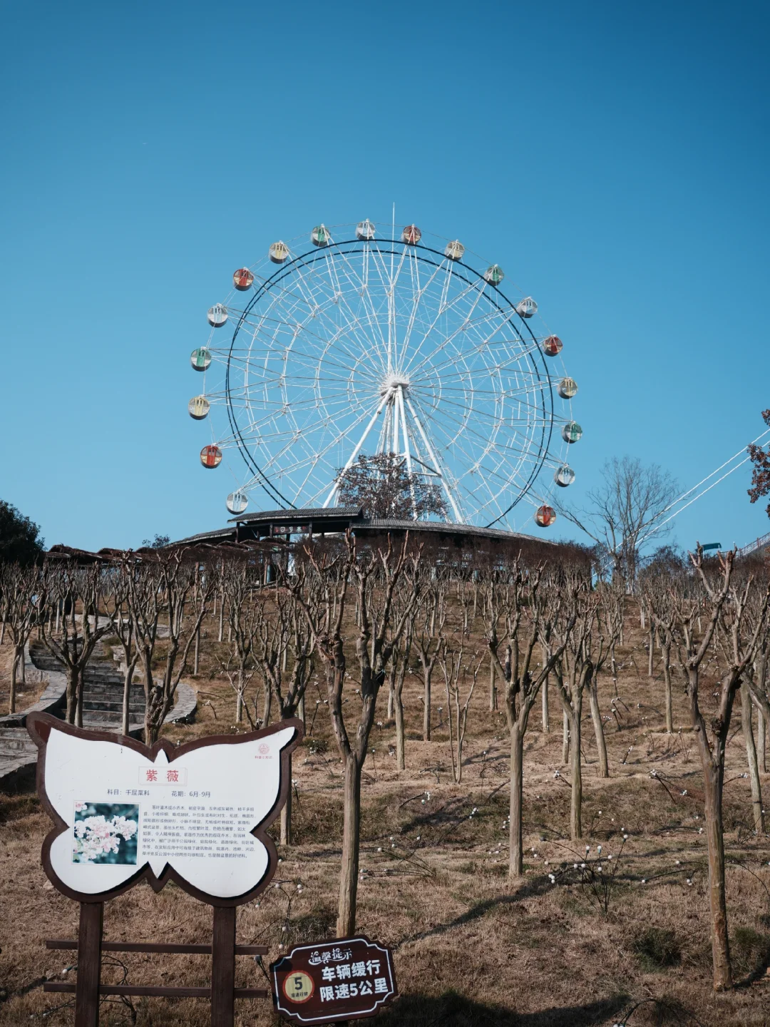 武汉遛娃|藏在景区的小天地木兰动物王国