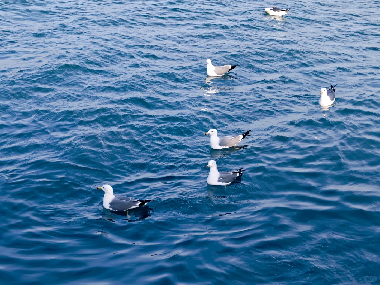 ❄️冬日威海一日游