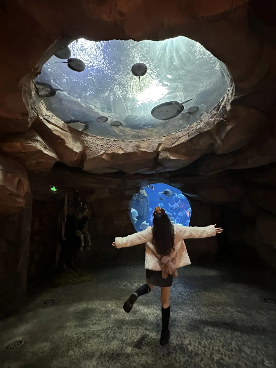 银基动物王国 | 迷失河谷拍照封神攻略📸