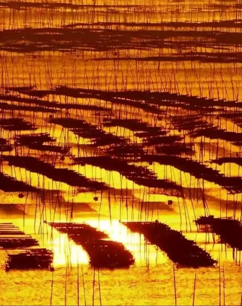 霞浦旅游攻略|4天3晚摄影之旅,大片随手拍