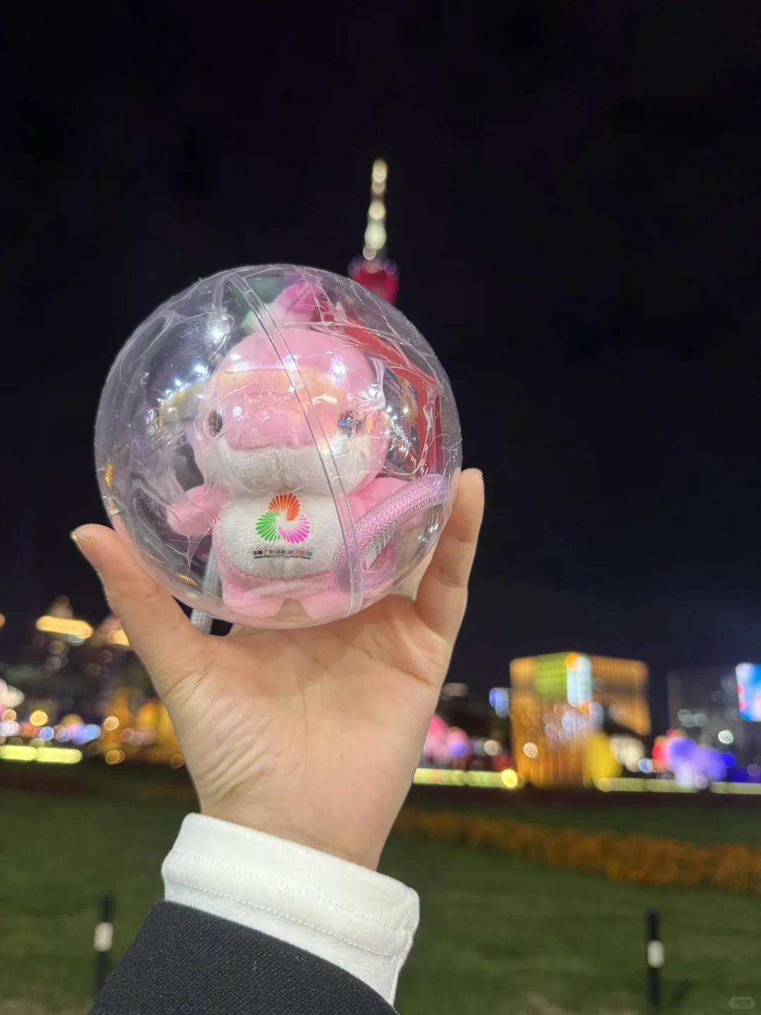 青岛旅游 丢失大湾鸡乐融融挂件一枚