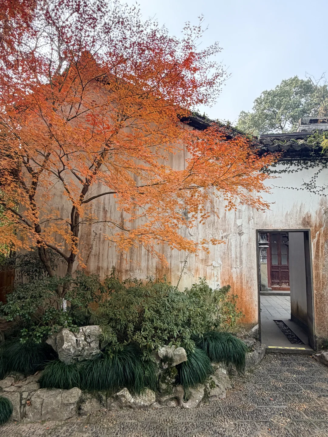 西湖边被低估的郭庄，藏着江南独有的温柔