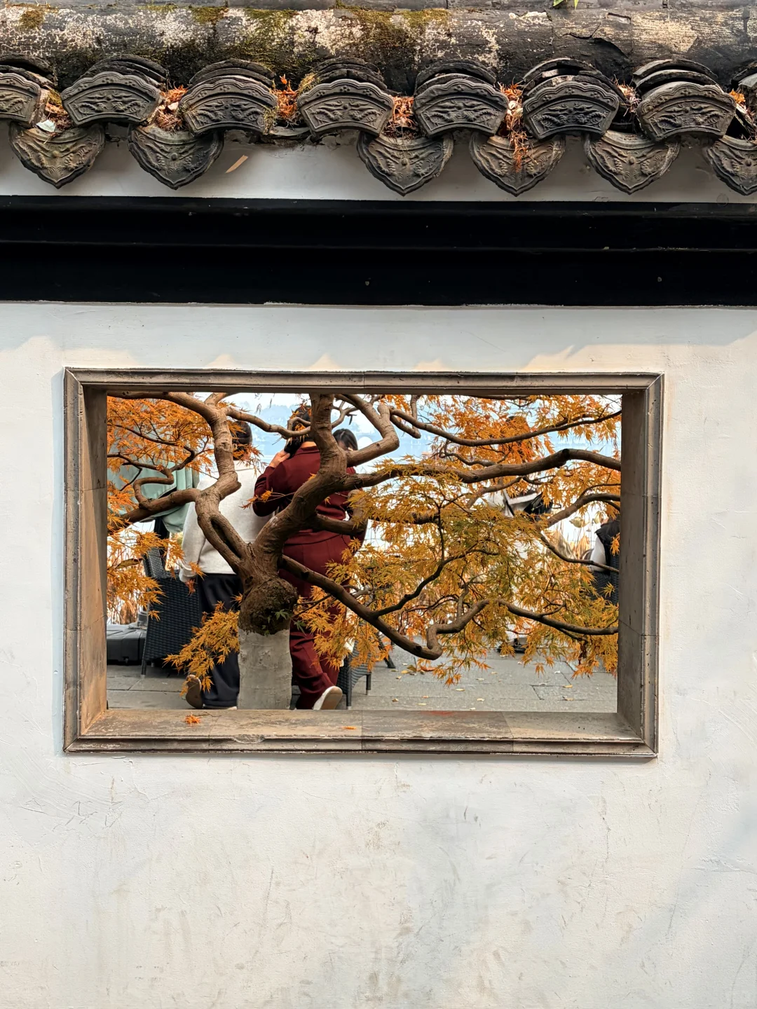 西湖边被低估的郭庄，藏着江南独有的温柔