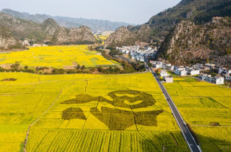带娃贵州已回,亲测好玩的地方,下次还来😄
