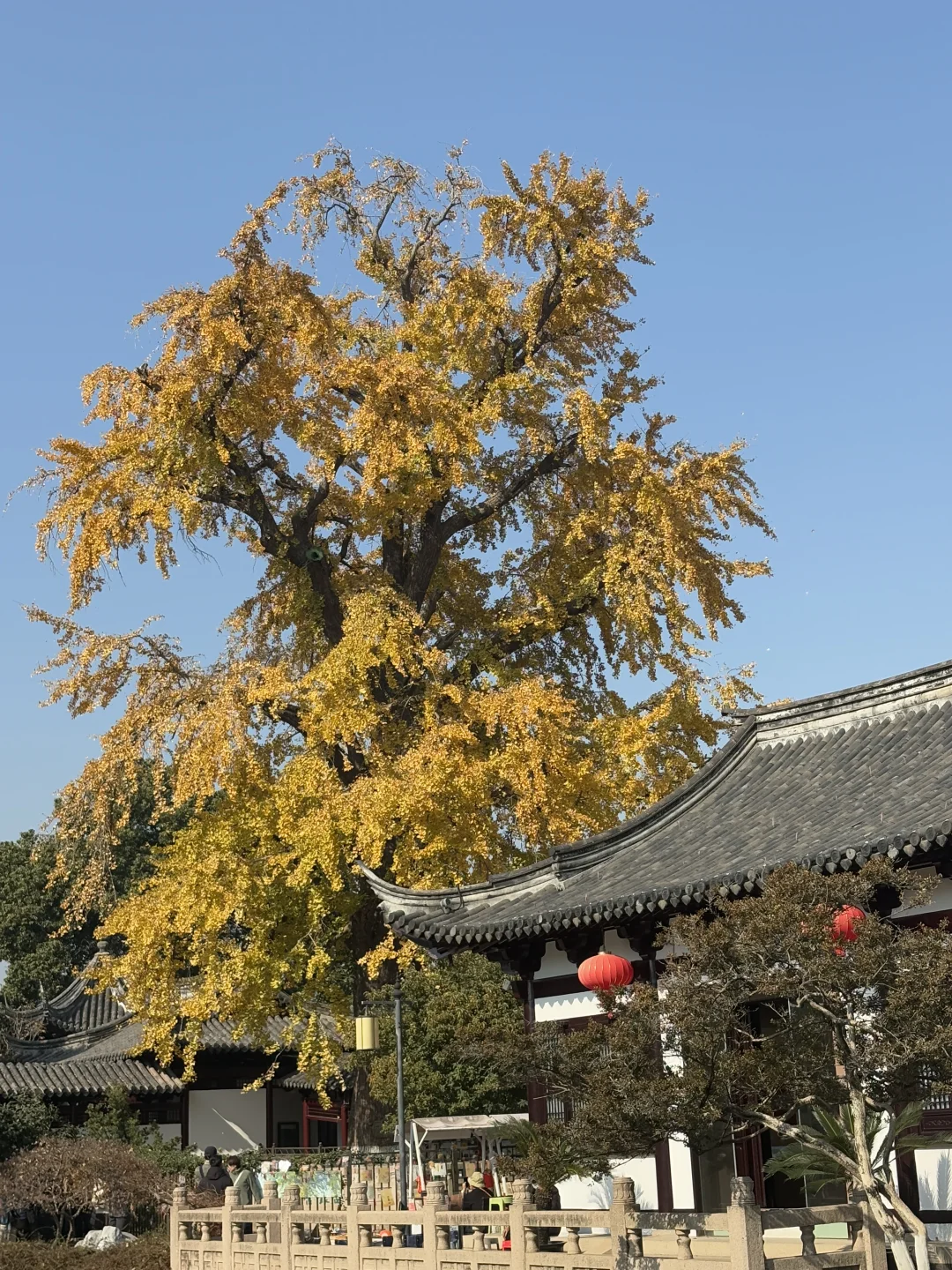 逃离城市计划 | 常熟你真的是，又美又安静