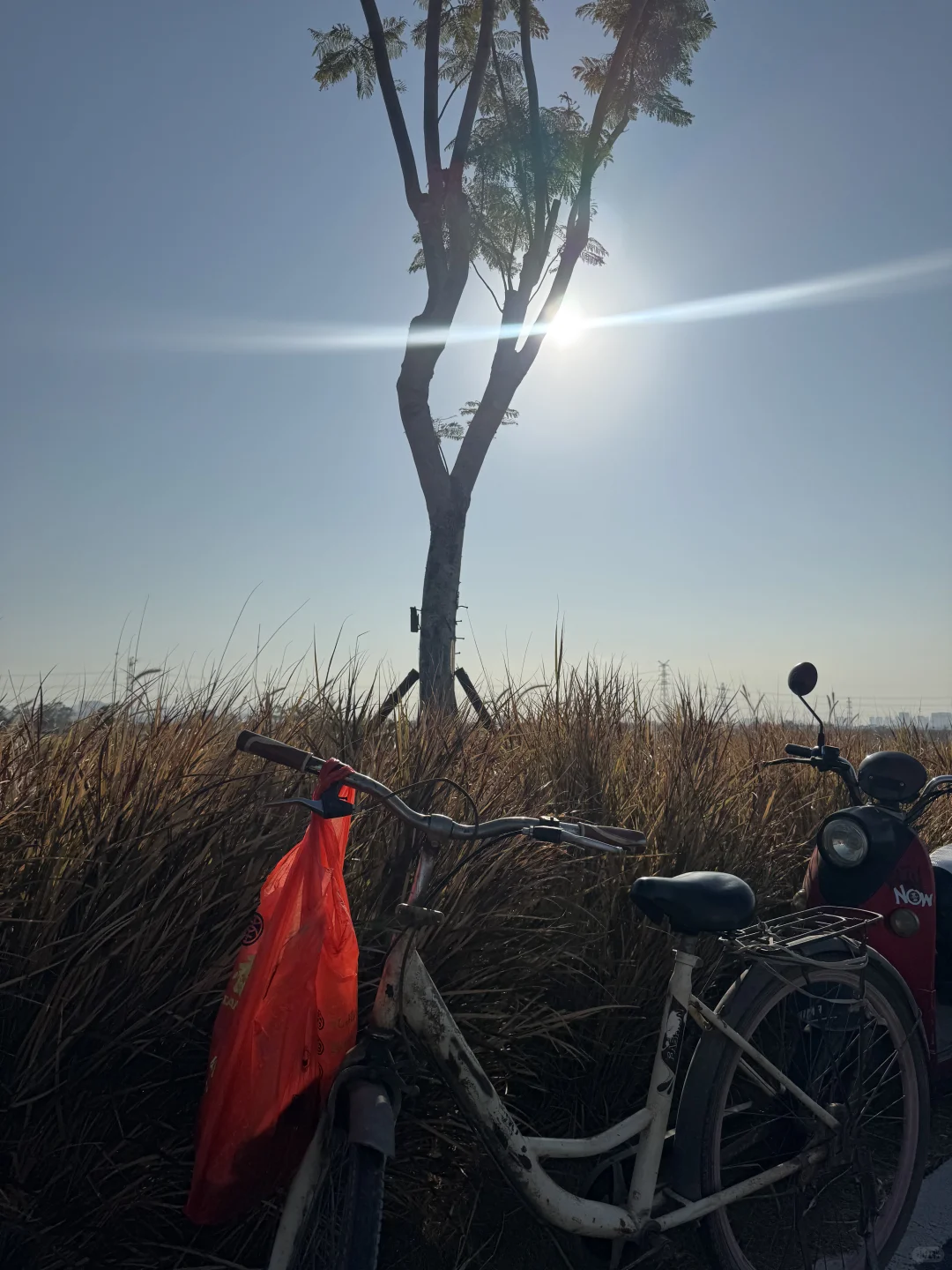 我们都向往没有天花板的地方