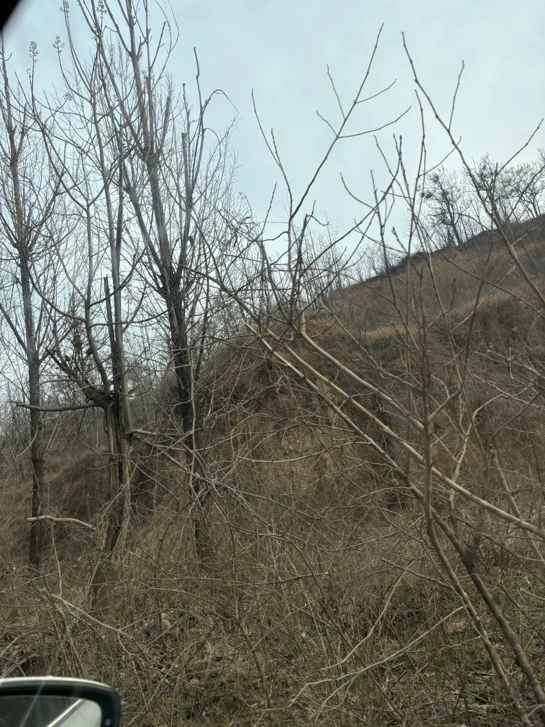 走进郑州梨园河温泉复现