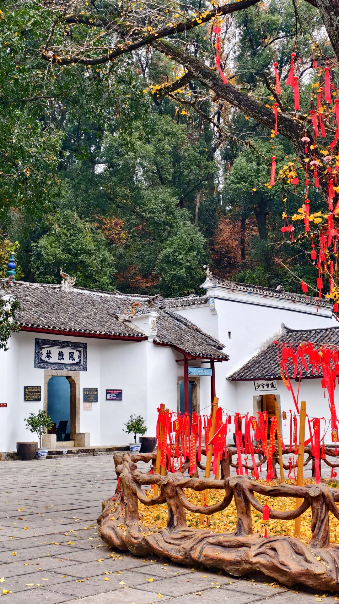 2025湖北旅游新攻略!“赤黄红”潮天下,这