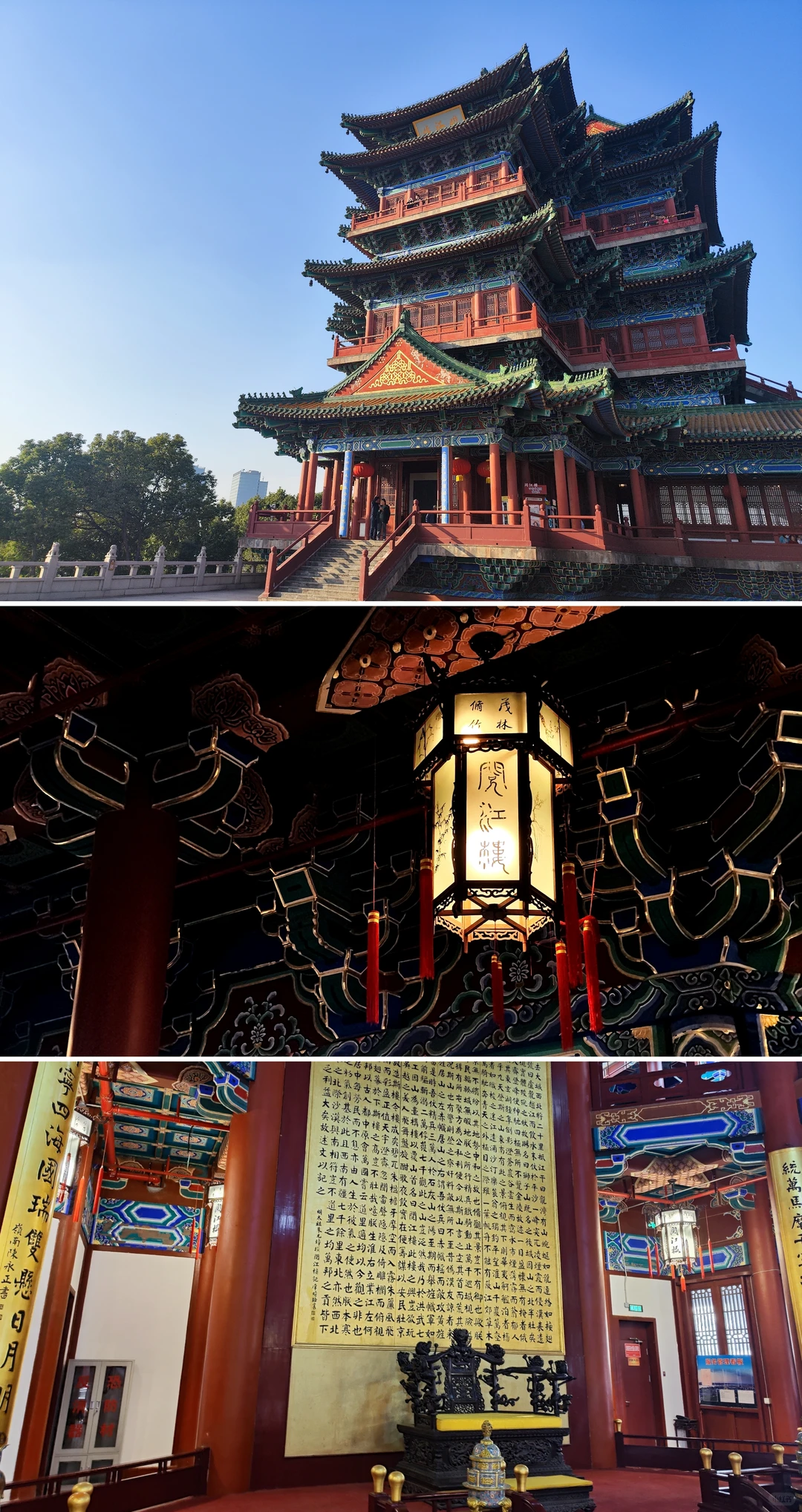 南京|给广东人一点小小的秋天震撼