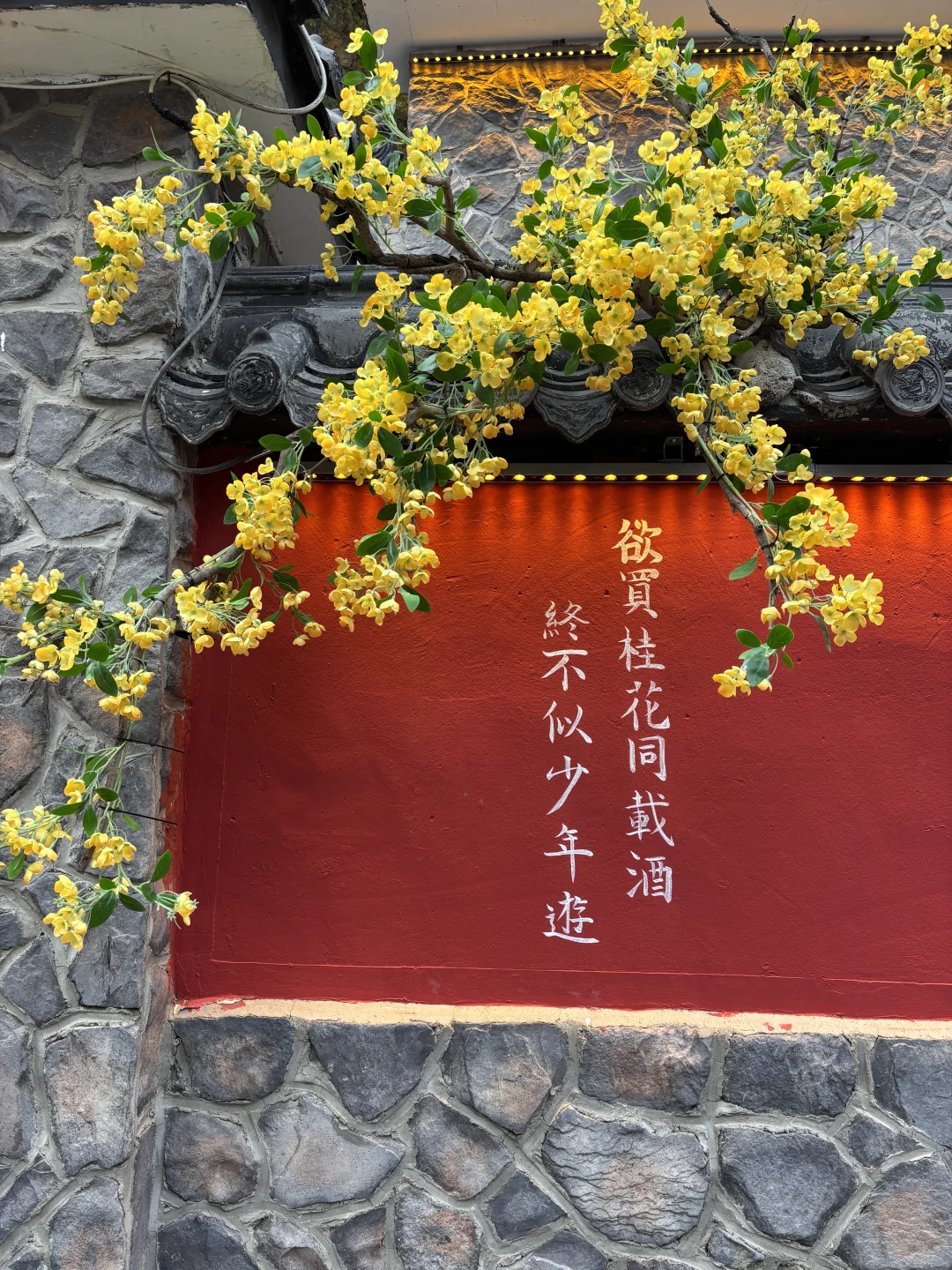 我还以为误入了仙境！没想到是淄博