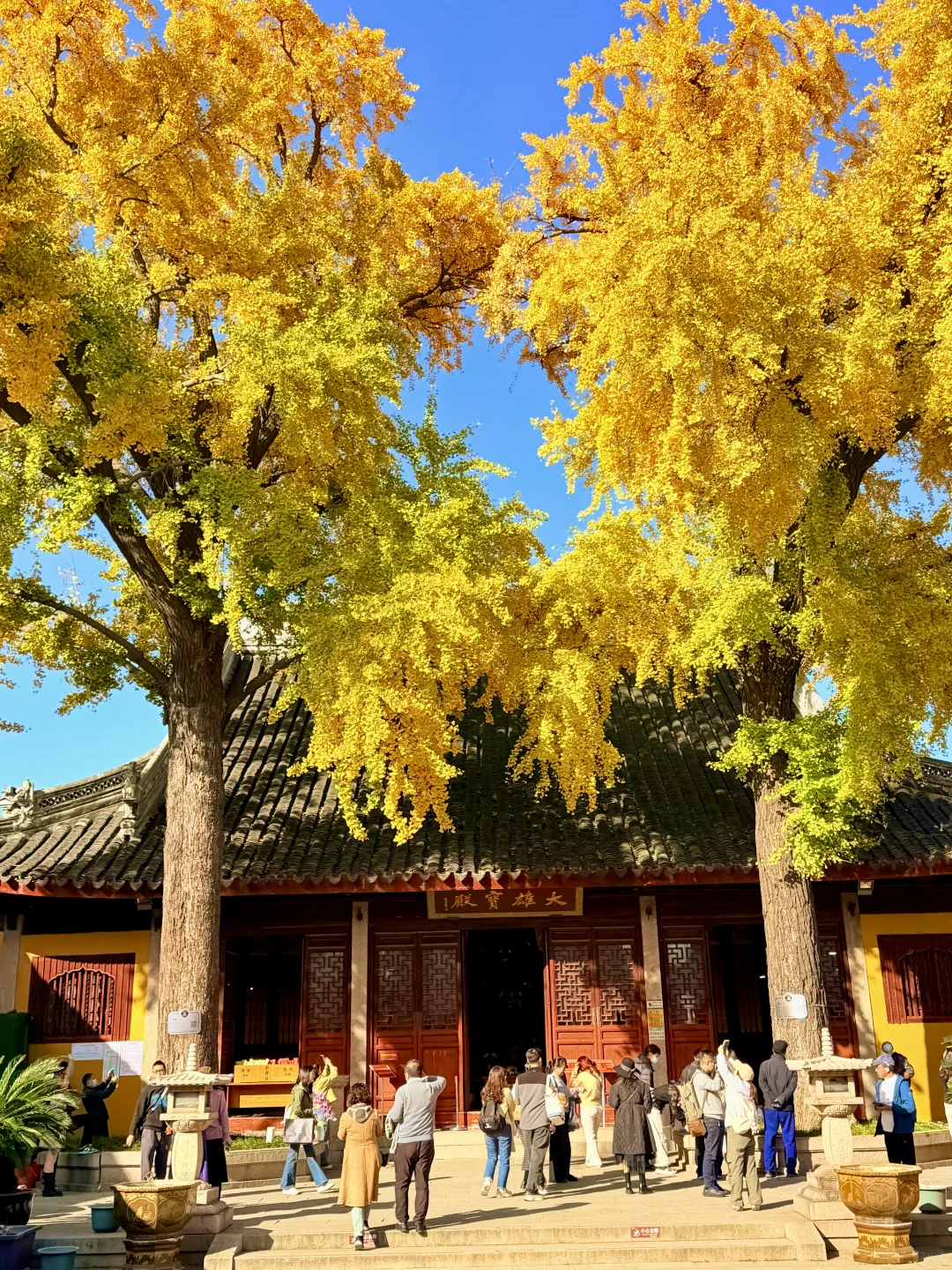 苏州12月赏秋🍂citywalk保姆级攻略(附路线)