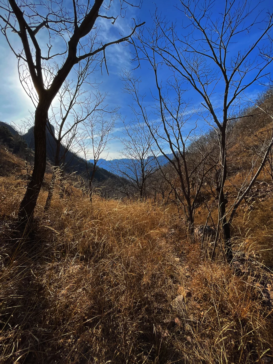 纯野无暇崴脚自负