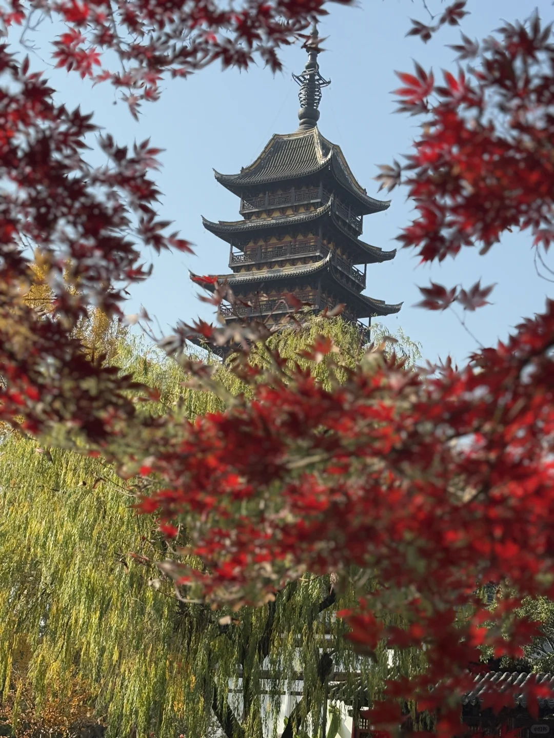 逃离城市计划 | 常熟你真的是，又美又安静