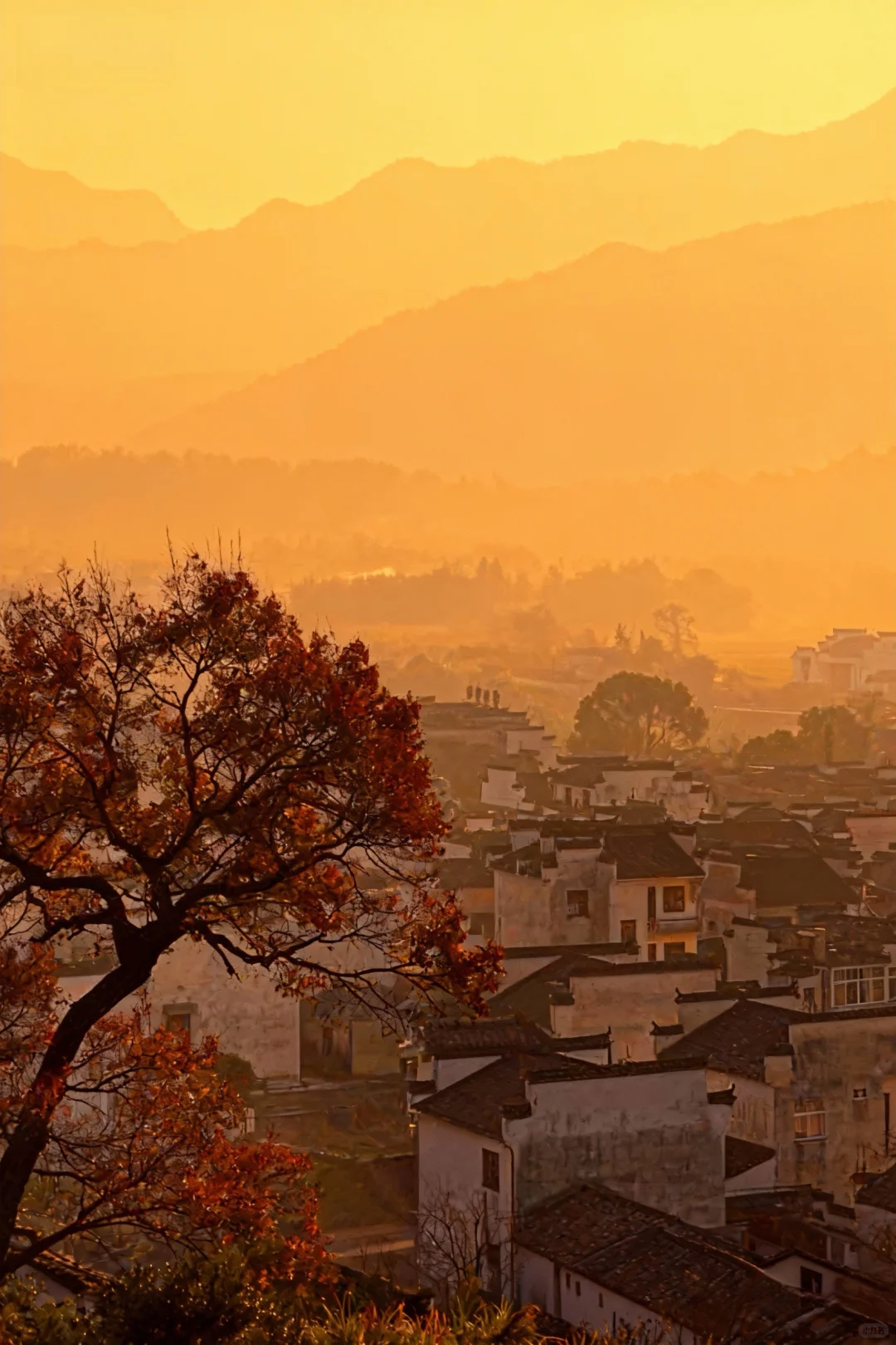 可惜你不来皖南🍂不知道卢村能有多美!!