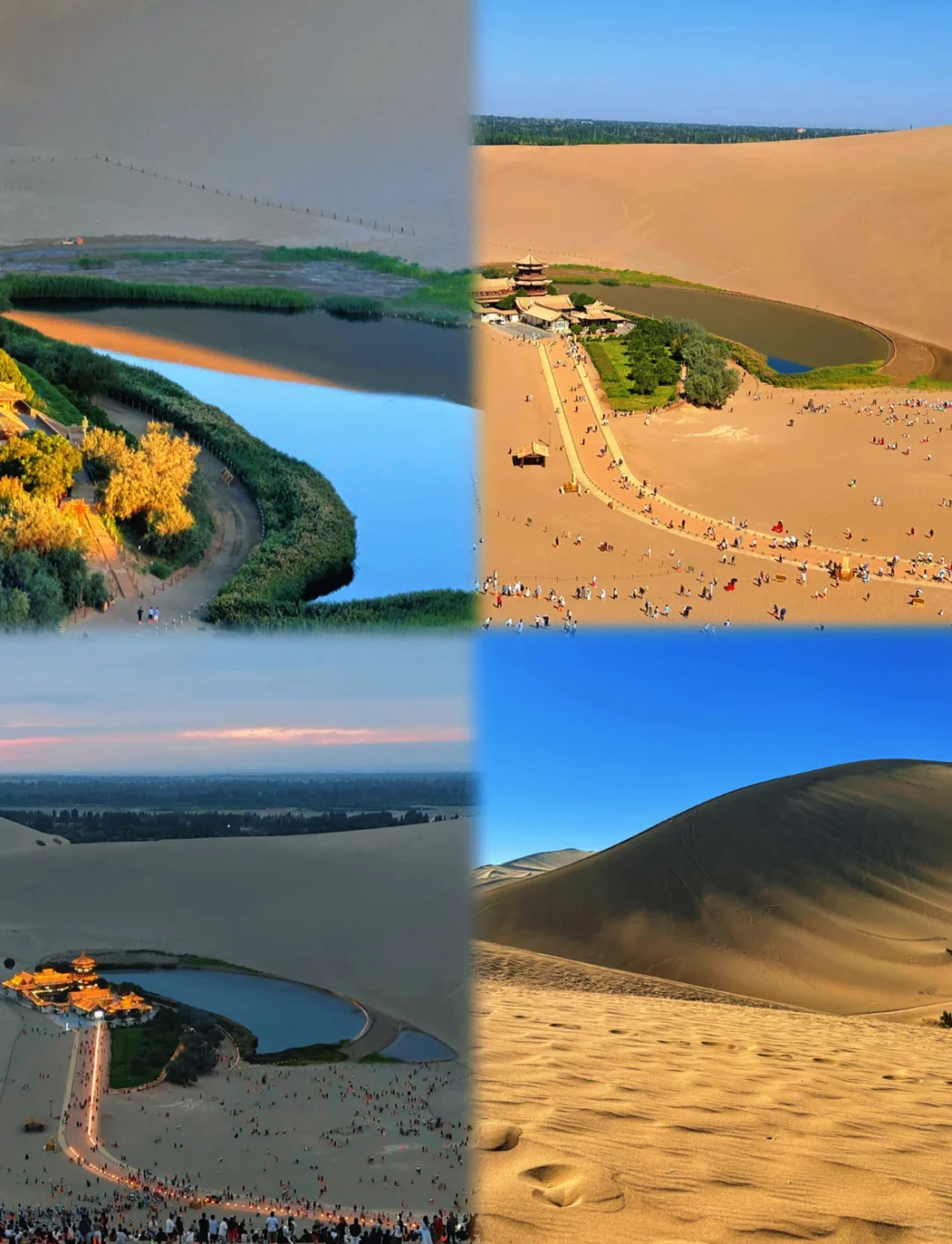 敦煌必玩!骑骆驼登鸣沙山看日落万人合唱太