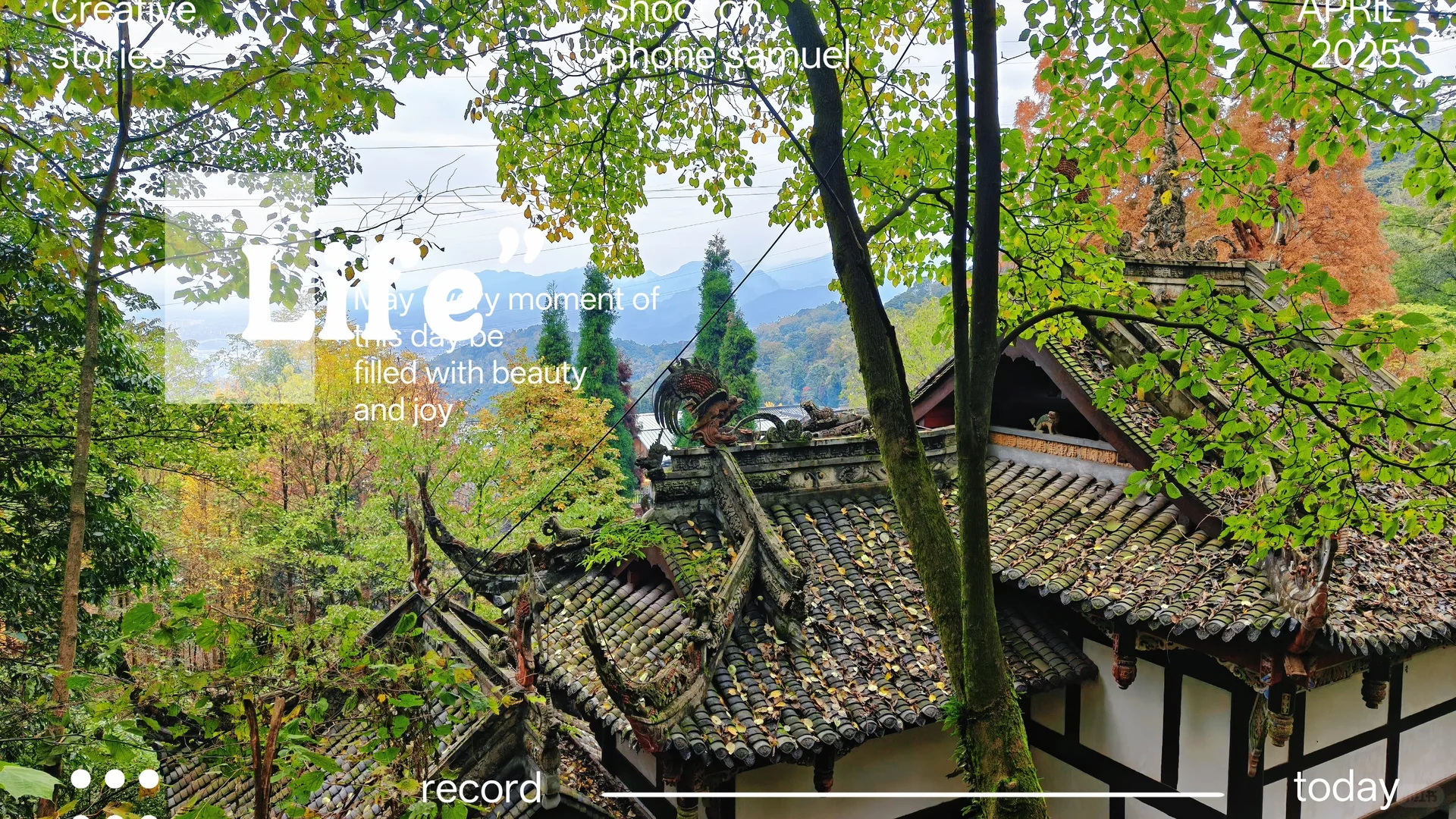 秋日古刹的静谧时光 🍁