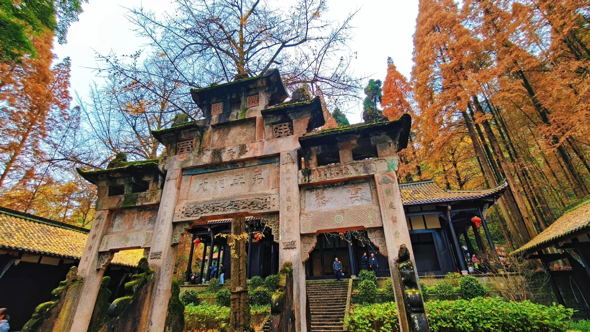 秋日古刹的静谧时光 🍁