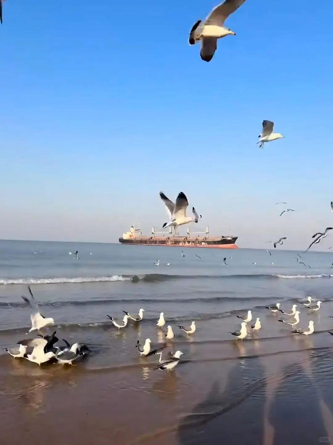 劝你冬威海前！先看完这篇再决定