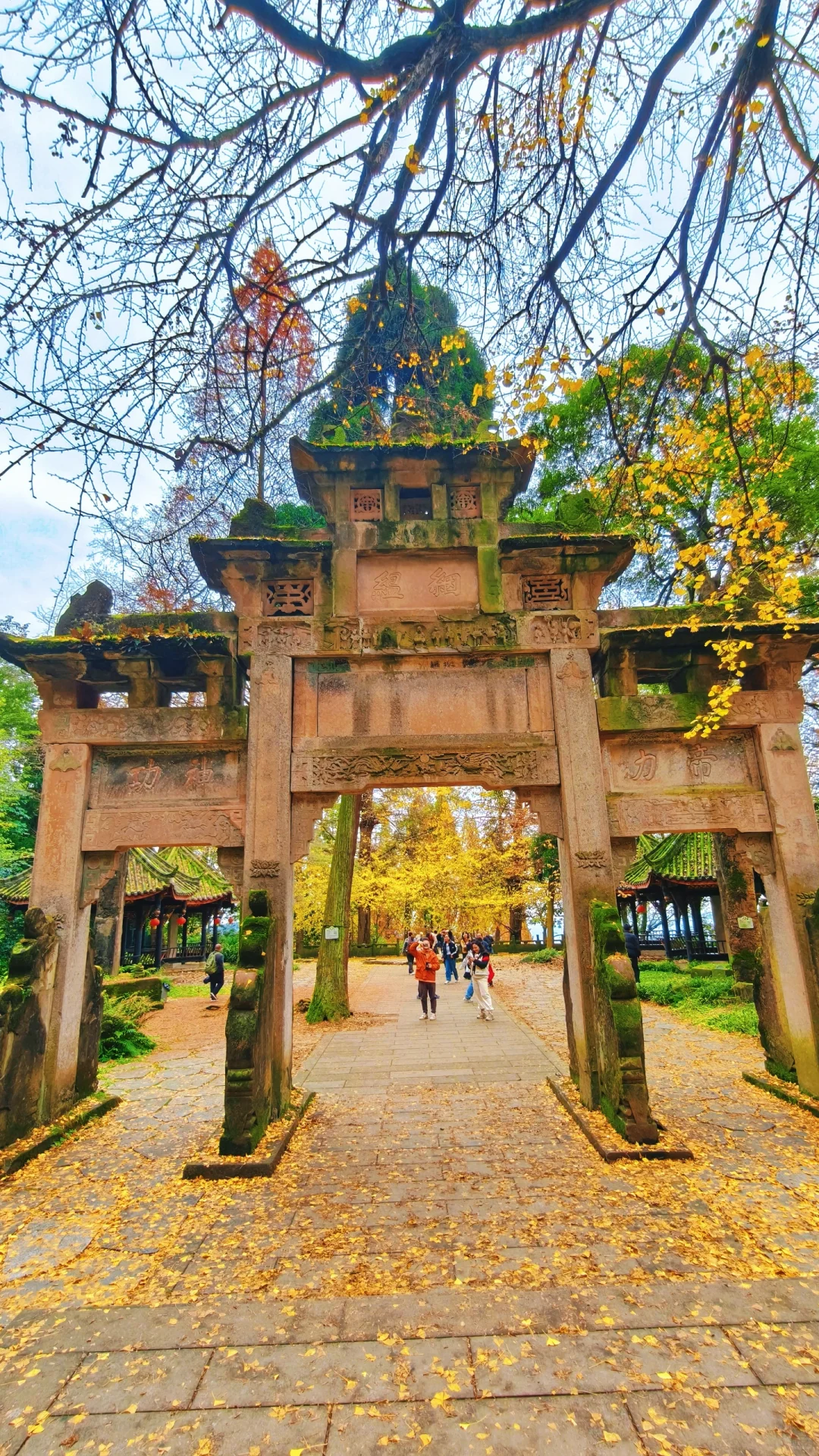 秋日古刹的静谧时光 🍁