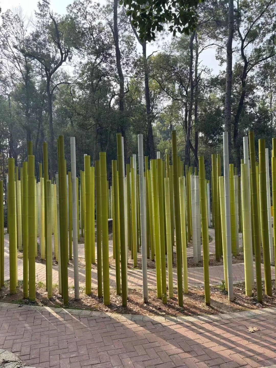 东湖落雁景区丨亲子遛娃路线丨13元的快乐